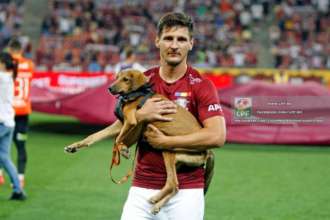 Фото: Protectia Animalelor CJ Ilfov (Facebook) У Румунії футболісти перед матчем виходять на поле з собаками, яким шукають господарів