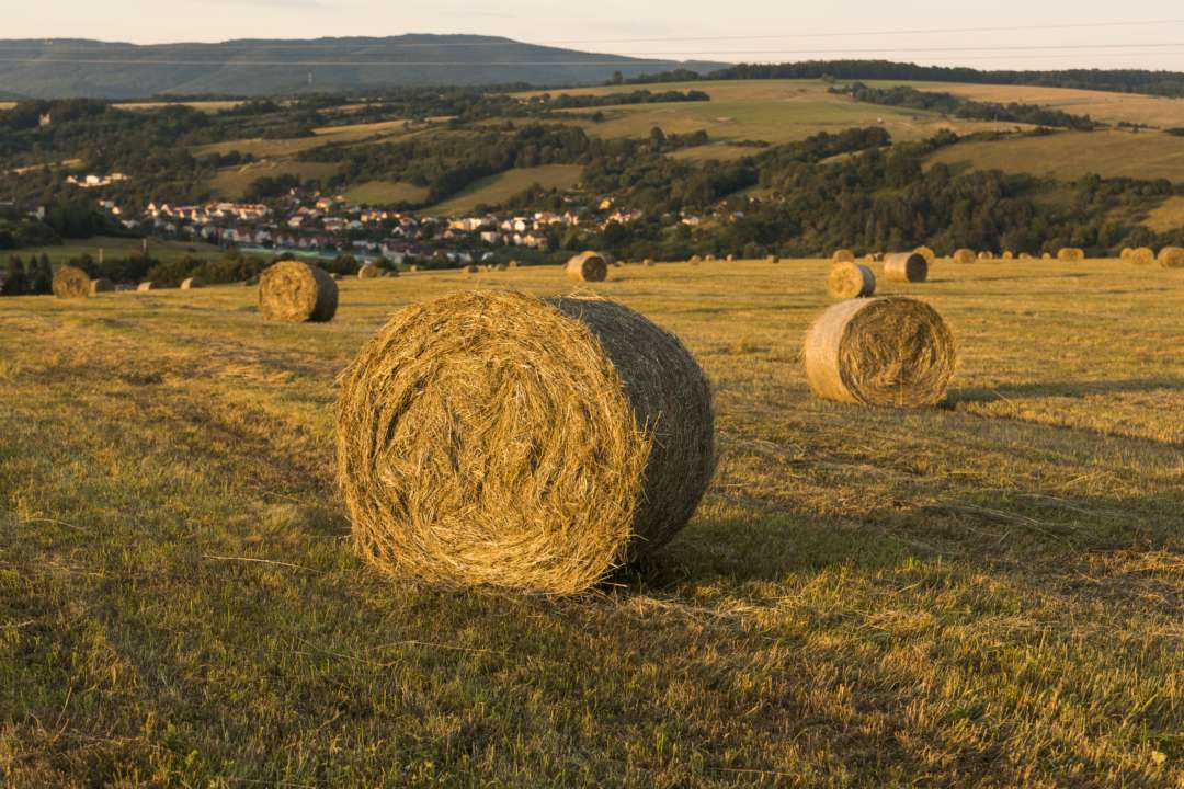 Украина может быть представлена на конкурсе "The Best Tourism Villages"