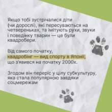 Хто такі квадробери та як з ними поводитись? Хто такі квадробери та як з ними поводитись?