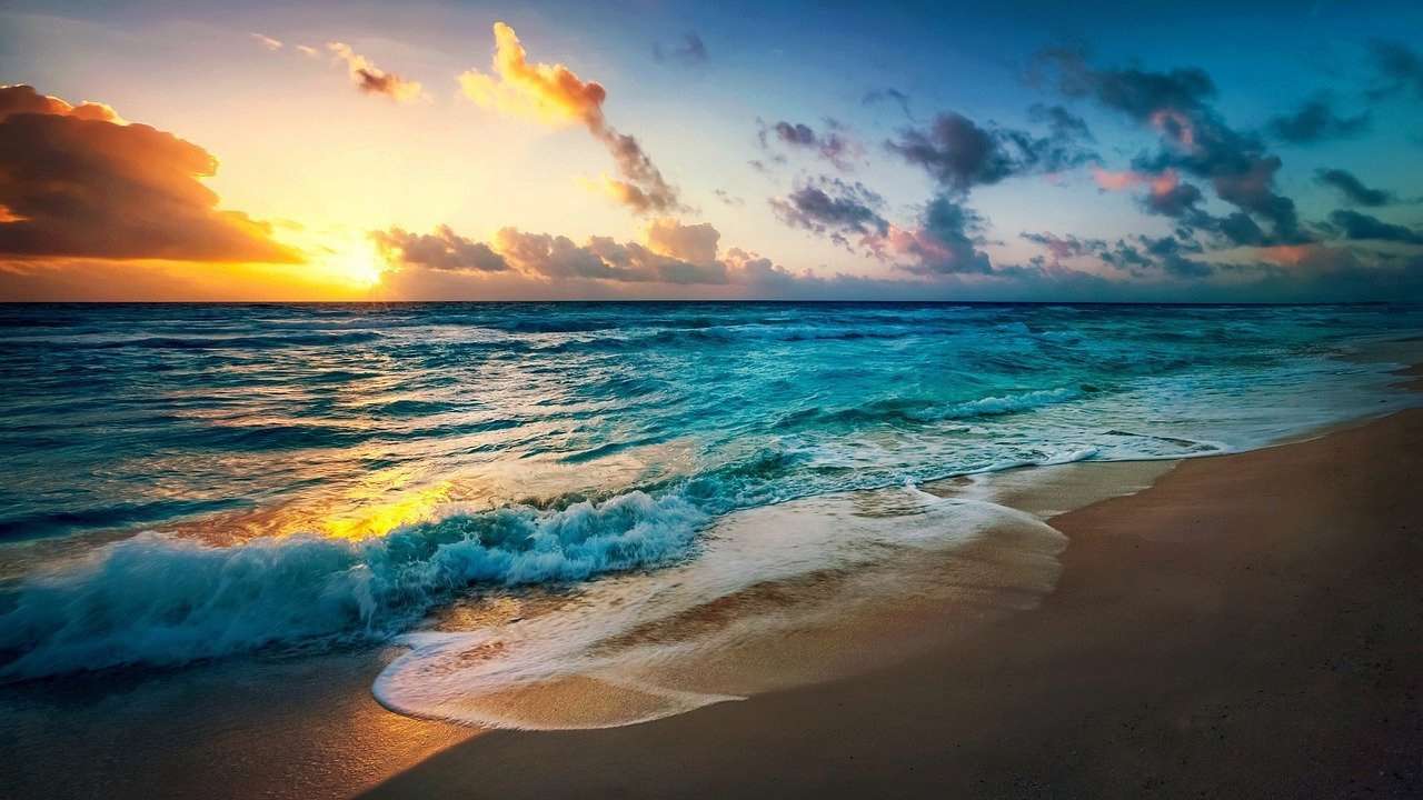 (Фото: Pixabay/Автор - Sathish kumar Periyasamy) Останки древнейшего животного найдены на берегу Черного моря. Фото