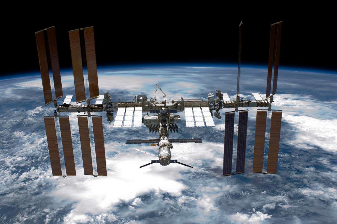 Фото: Getty Images/NASA NASA відправить в космос кальмарів-світлячків