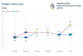 Лишь днем 31 декабря и в новогоднюю ночь возможен небольшой мокрый снег Лишь днем 31 декабря и в новогоднюю ночь возможен небольшой мокрый снег