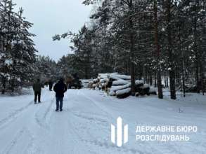 Будут судить преступную группу за вырубку 100-летних дубов в Чернобыльском заповеднике Будут судить преступную группу за вырубку 100-летних дубов в Чернобыльском заповеднике