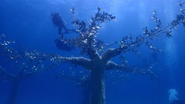 Фото: Cyprus Mail Казковий підводний світ: на Кіпрі відкрили музей з експозицією на морському дні. Фото