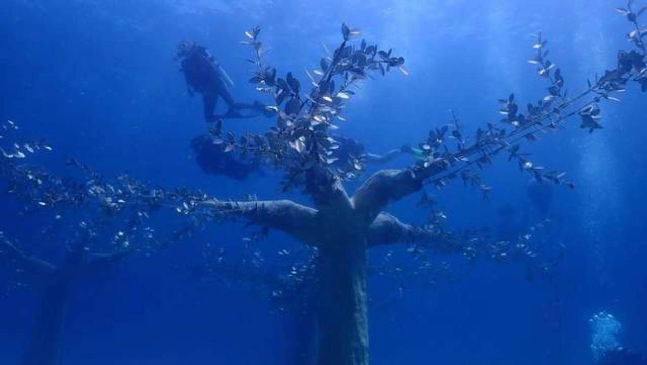 Казковий підводний світ: на Кіпрі відкрили музей з експозицією на морському дні. Фото