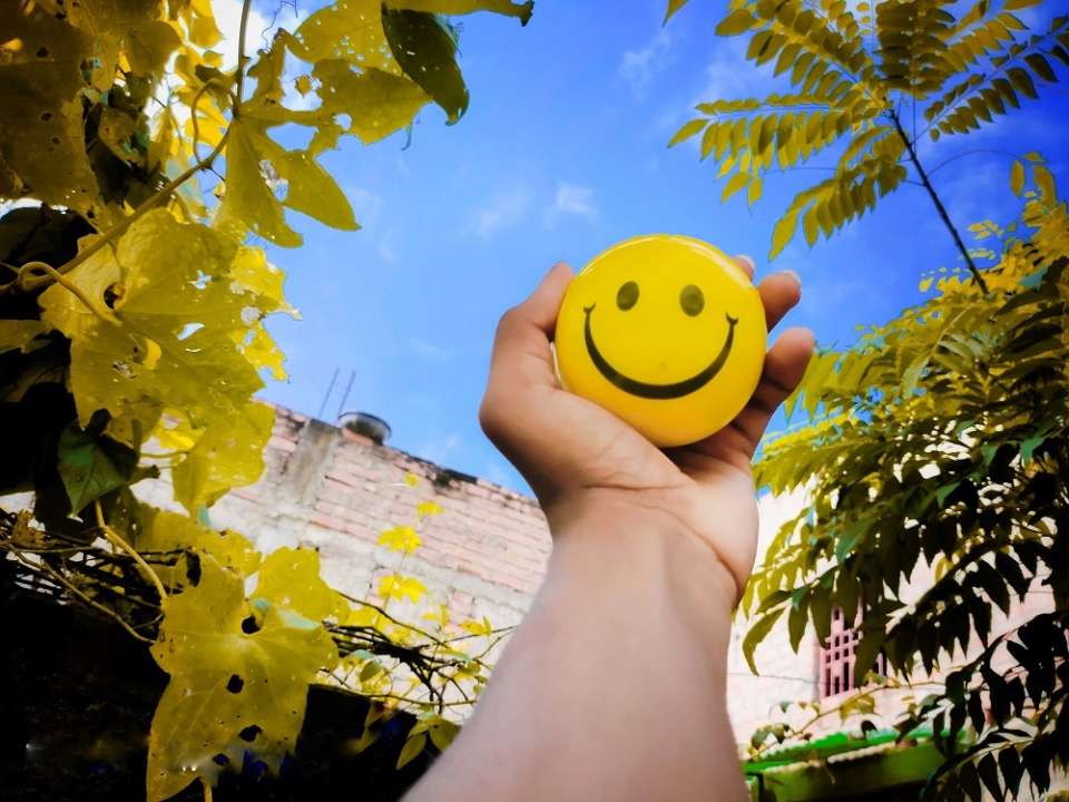 Психологический тест по картинке: что дарит вам искреннюю радость/Фото: Unsplash Психологический тест по картинке: что дарит вам искреннюю радость/Фото: Unsplash
