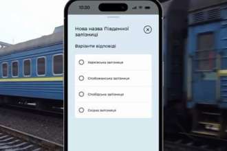 Каждый голос в Дії — кирпичик в развитие электронной демократии Каждый голос в Дії — кирпичик в развитие электронной демократии
