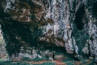 фото pexels.com 40 днів в печері: у Франції проведуть незвичайний експеримент