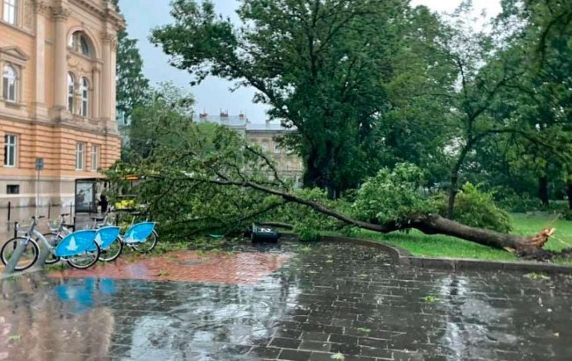 Фото: rivne.media Негода у Рівненській області
