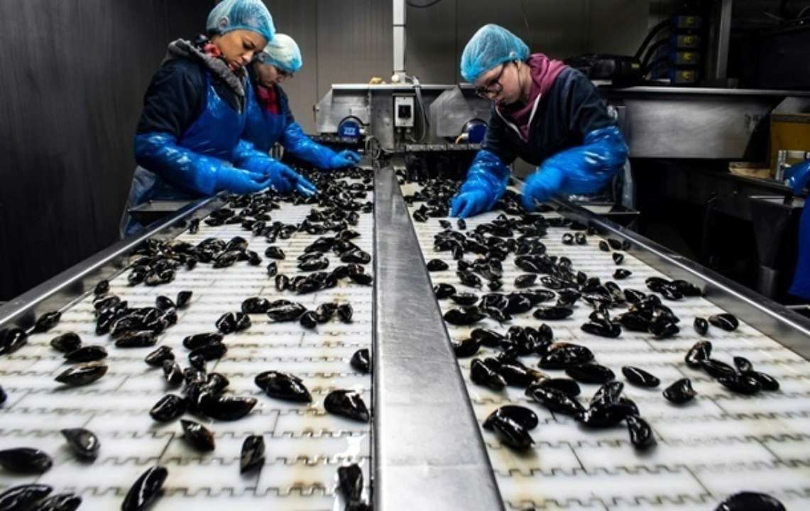6 профессий с самым высоким уровнем смертности от Covid - исследование 6 профессий с самым высоким уровнем смертности от Covid - исследование