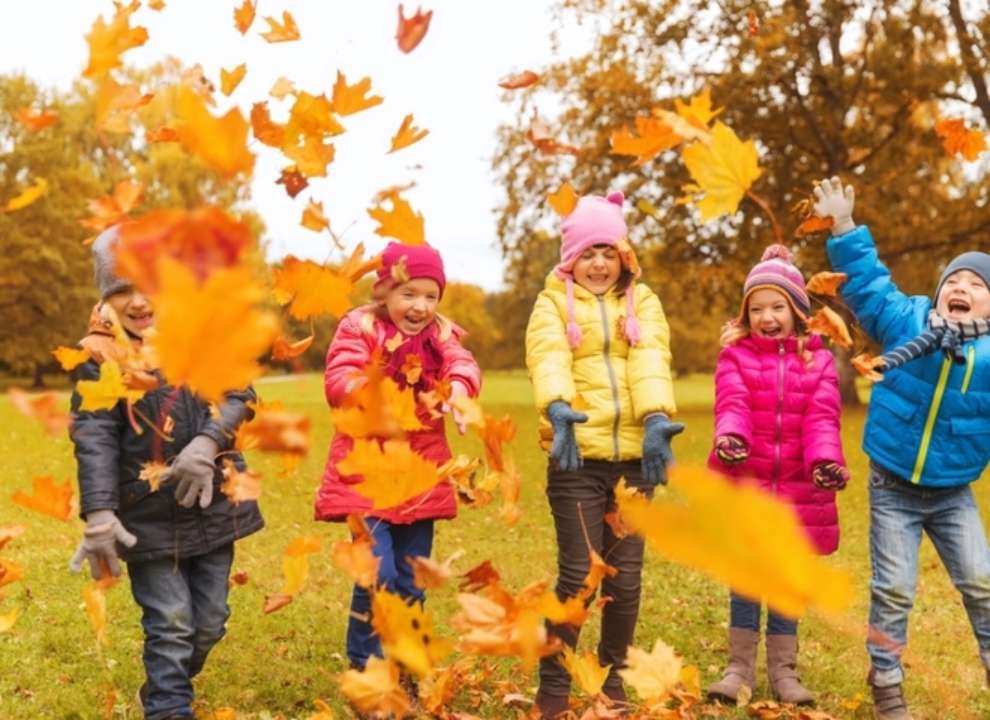 Осінні канікули для столичних школярів розпочнуться 23 жовтня