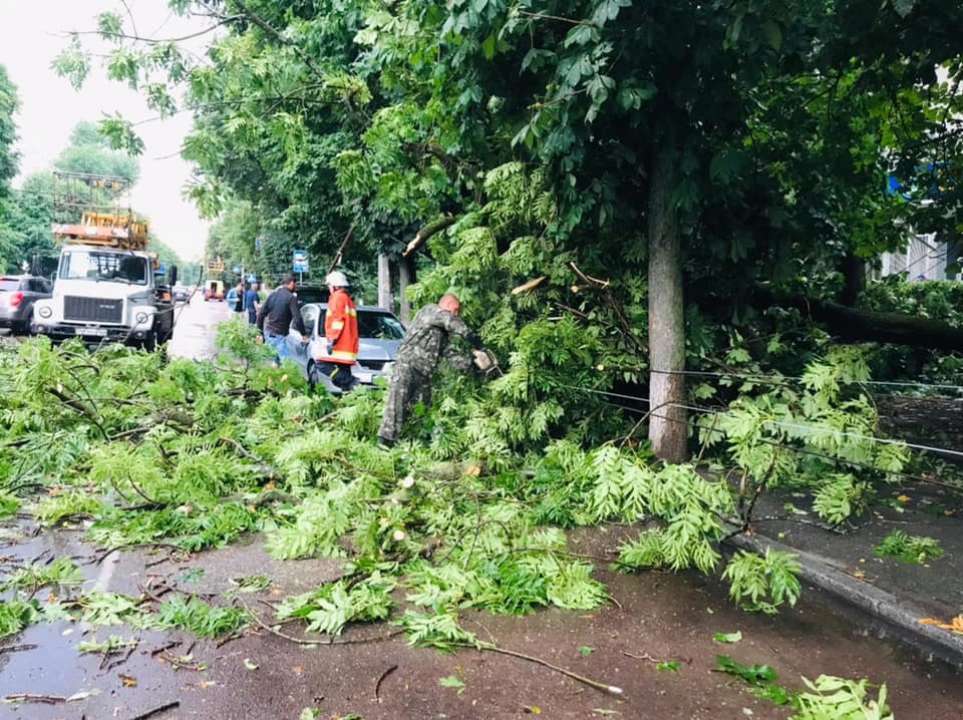 Поваленные деревья и затопленные улицы: Житомир накрыл мощный ливень