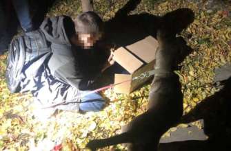 Фото: Патрульна поліція Рівненської області в Рівному хлопчик пішов з дому, тому що йому не дозволили залишити собаку