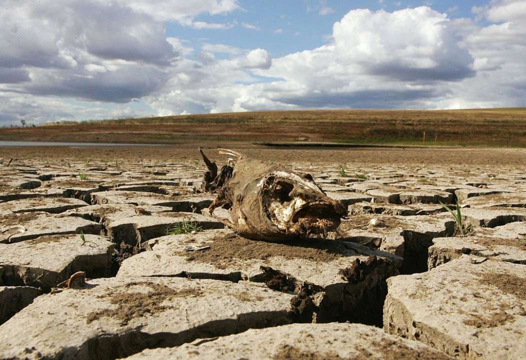 Климатологи прогнозируют в 2023 году рекордную жару/Фото: Getty Images