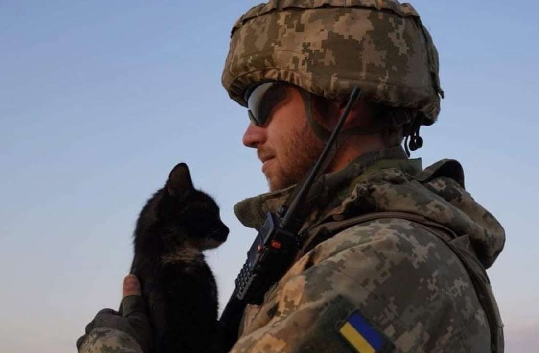 Російські окупанти знущаються над тваринами/Фото: UAnimals/Іnstagram Вбивають собак та обстрілюють зоопарки: фото знущань російських окупантів над тваринами (18+)