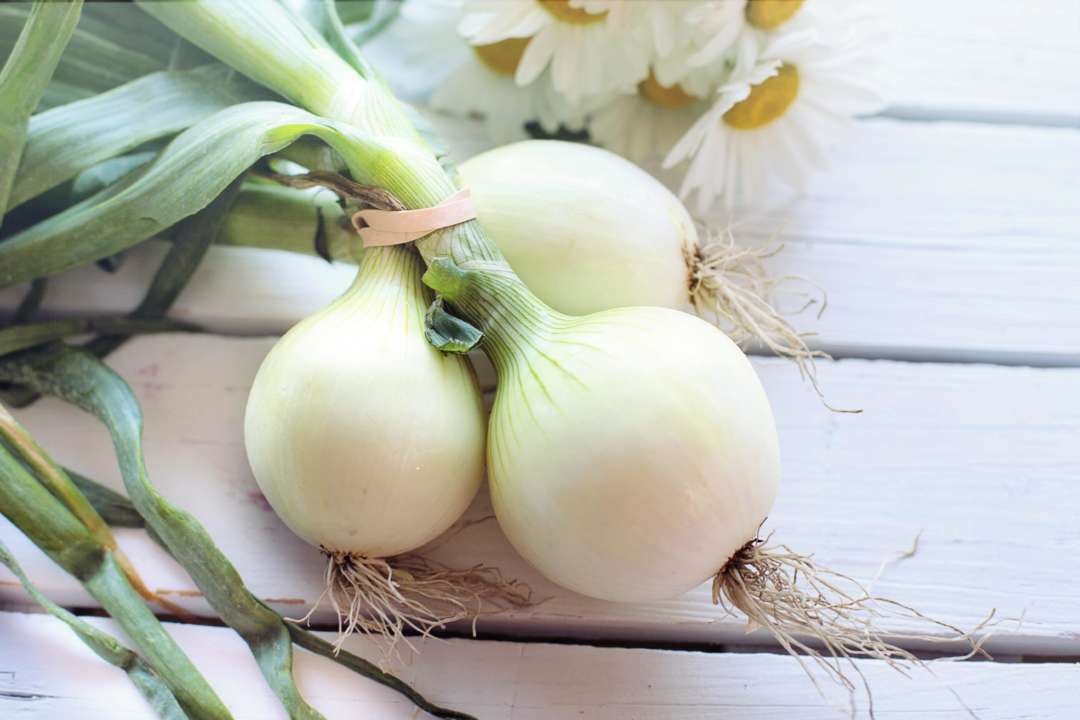 Універсальний продукт: топ-4 способи використання цибулі в побуті