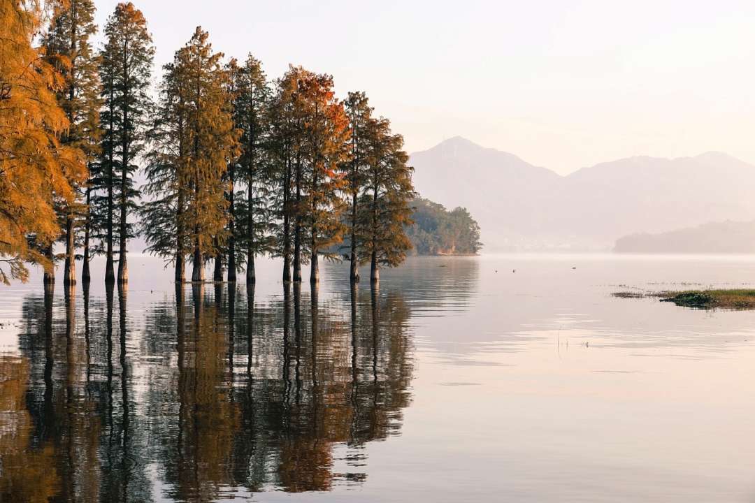 Прикмети 24 жовтня / Фото: Pixabay Не варто рахувати гроші: прикмети на 24 жовтня