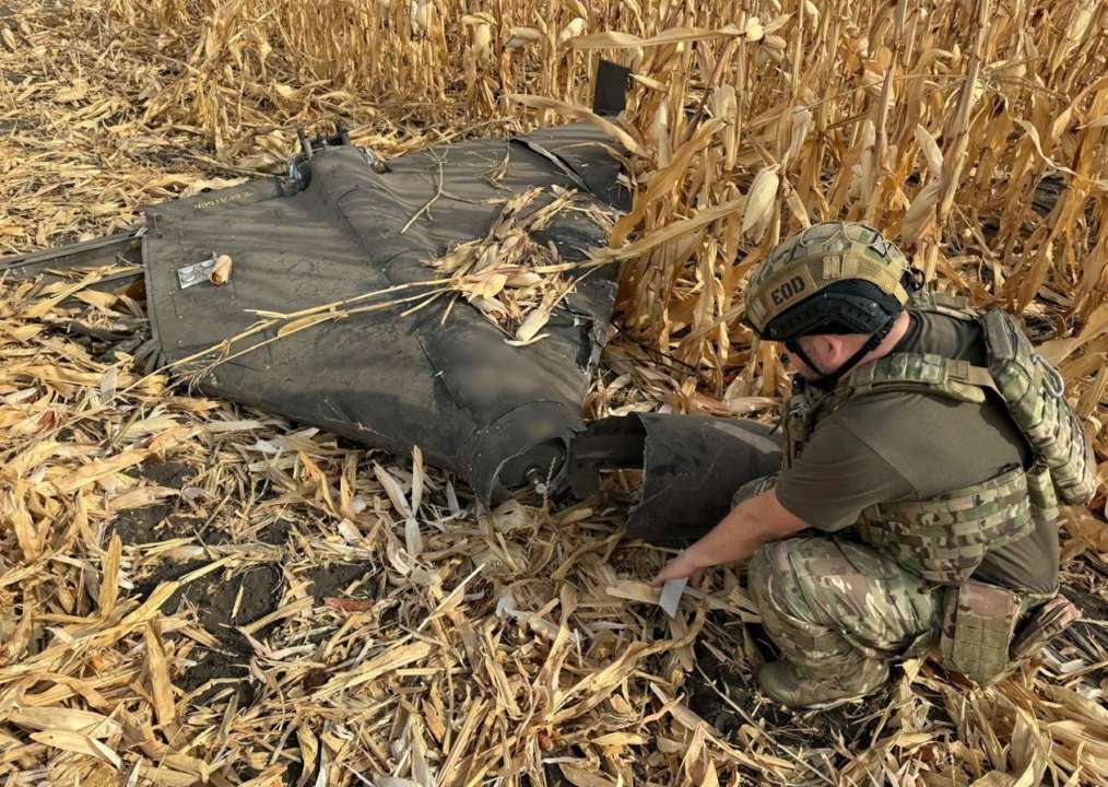 Появилось видео уничтожения вражеского БпЛА "Герань-2" / Фото: t.me/mvs_ukraine Появилось видео уничтожения вражеского БпЛА "Герань-2" / Фото: t.me/mvs_ukraine