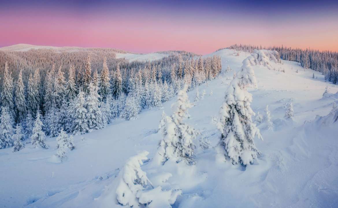 Свята 20 грудня / Фото: standret/Freepik 20 грудня: цікаві факти, важливі події та свята