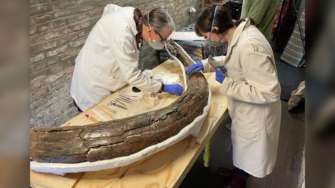 Археологи знайшли останки мамонтів віком понад 200 000 років/Фото: DigVentures Археологи