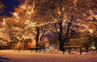 В Киеве зафиксировали температурный рекорд/Фото: pixabay парк