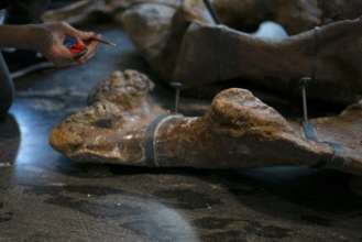 Фото: Aurelien Meunier for Getty Images Getty Images