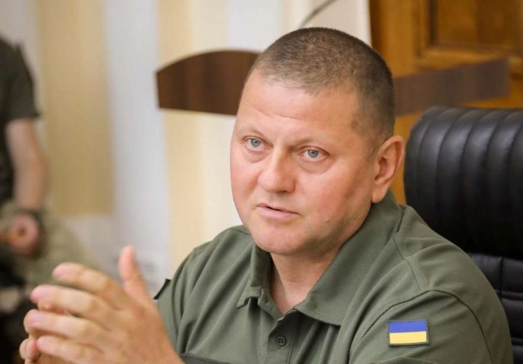 Залужный выступил с обращением в честь Дня памяти защитников Украины/Фото: Facebook