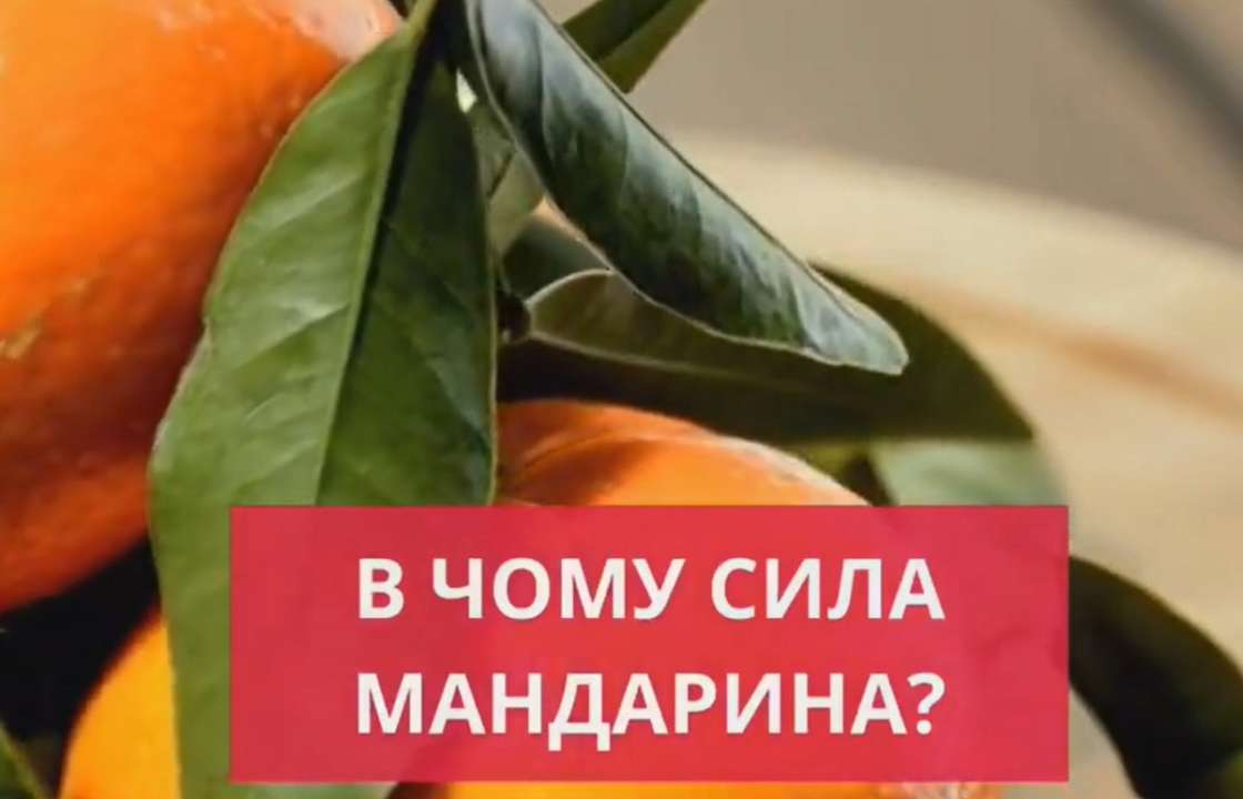 Действительно ли мандарины снижают риск онкозаболеваний, укрепляют иммунную систему, защищают зрение, улучшают пищеварение, поддерживают здоровье сердца и регулируют давление? Кому следует употреблять с осторожностью? Действительно ли мандарины снижают риск онкозаболеваний, укрепляют иммунную систему, защищают зрение, улучшают пищеварение, поддерживают здоровье сердца и регулируют давление? Кому следует употреблять с осторожностью?