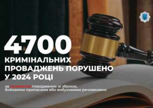 Правоохранители начали 4700 производств в 2024 году за за незаконное обращение с оружием Правоохранители начали 4700 производств в 2024 году за за незаконное обращение с оружием