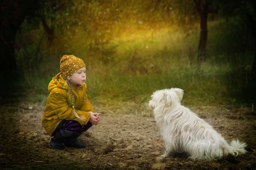 Какие сегодня международные и национальные праздники. Фото: Pixabay/Автор- ID 7000920 Какой церковный праздник 13 ноября