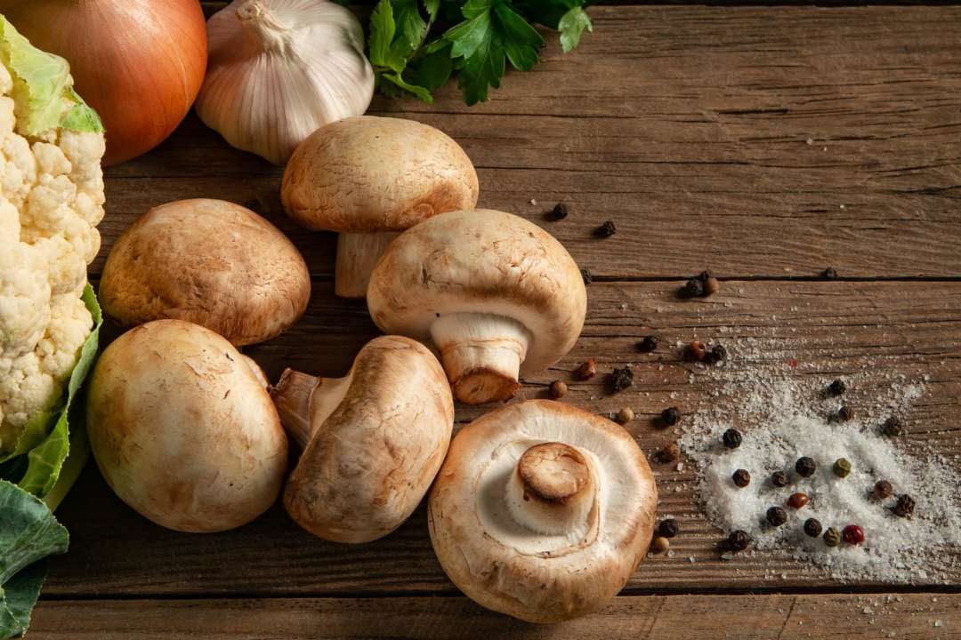 Как грибы влияют на психическое здоровье