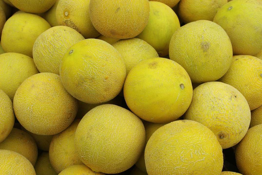 Кому запрещено есть дыню