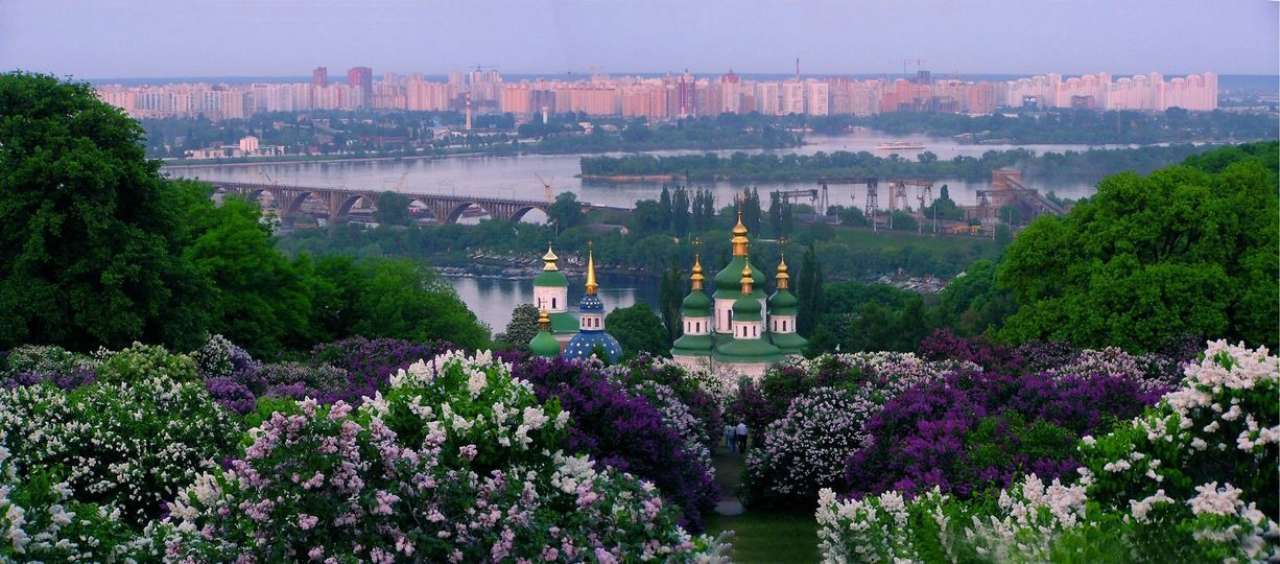 Волонтери ботанічного саду імені Гришка просять про допомогу / фото: facebook Волонтери ботанічного саду імені Гришка просять про допомогу