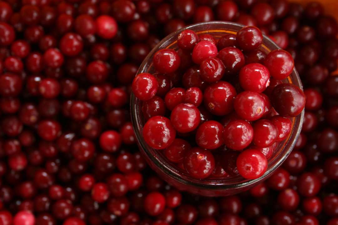 Для десертов и чаепития: рецепт джема из клюквы на зиму