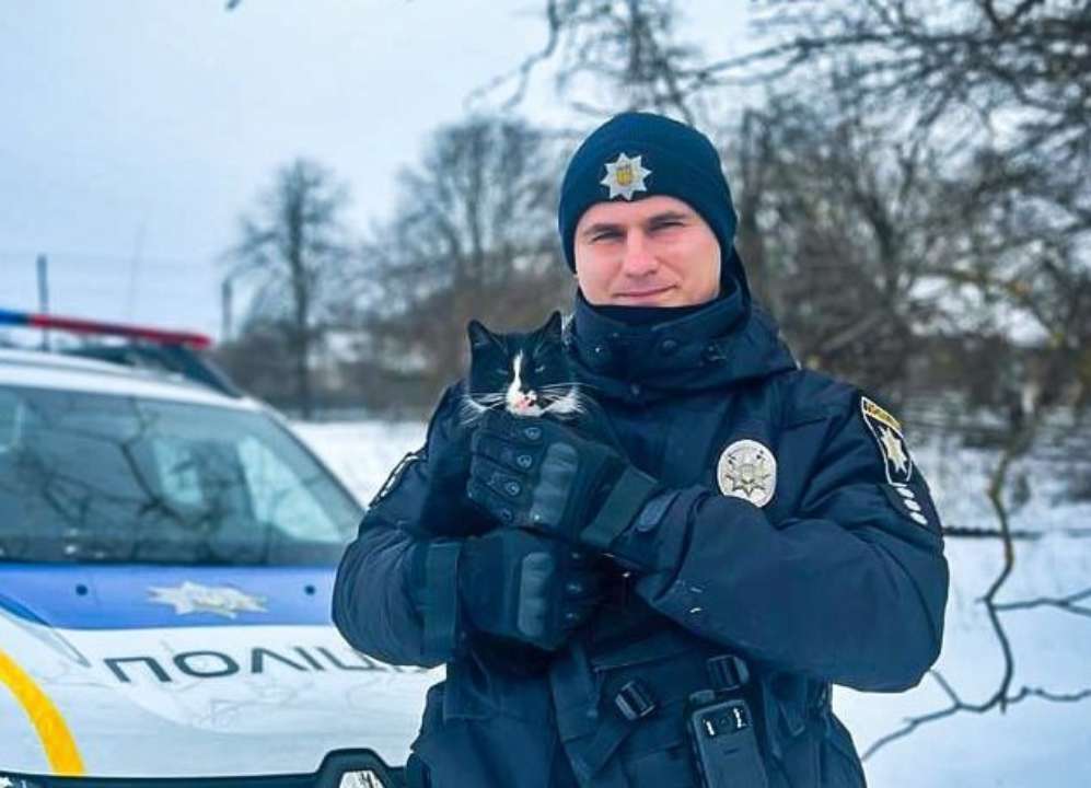 У Нацполіції попросили населення підгодовувати безпритульних тварин / Фото: t.me/UA_National_Police У Нацполіції попросили населення підгодовувати безпритульних тварин / Фото: t.me/UA_National_Police