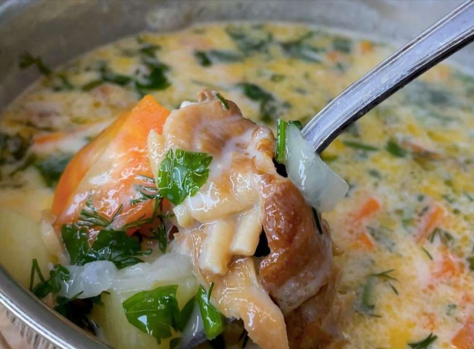 Як приготувати сирний суп із лососем / Фото: instagram/vistovska_cooking Як приготувати сирний суп із лососем / Фото: instagram/vistovska_cooking