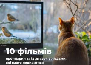 Фільми про тварин і людей / Фото: Міндовкілля Кінопідбірка для натхнення: фільми про тварин та людей