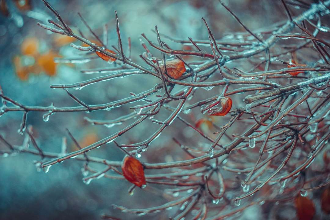 Холод