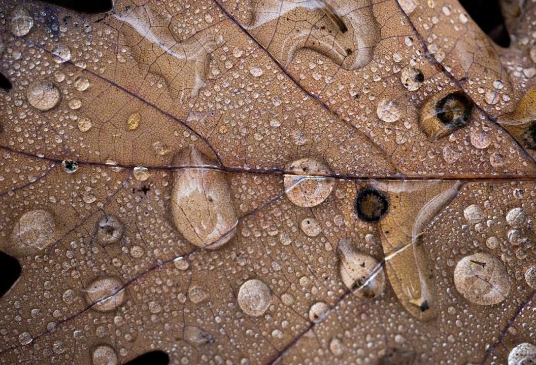 Приметы на 16 октября / Фото: Pixabay Не стоит открывать окна: приметы на 16 октября