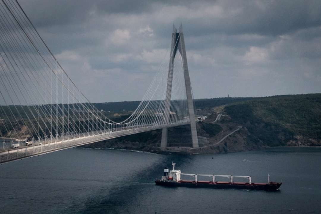 Кубраков рассказал, сколько грузов уже прошло по специальному коридору Черным морем