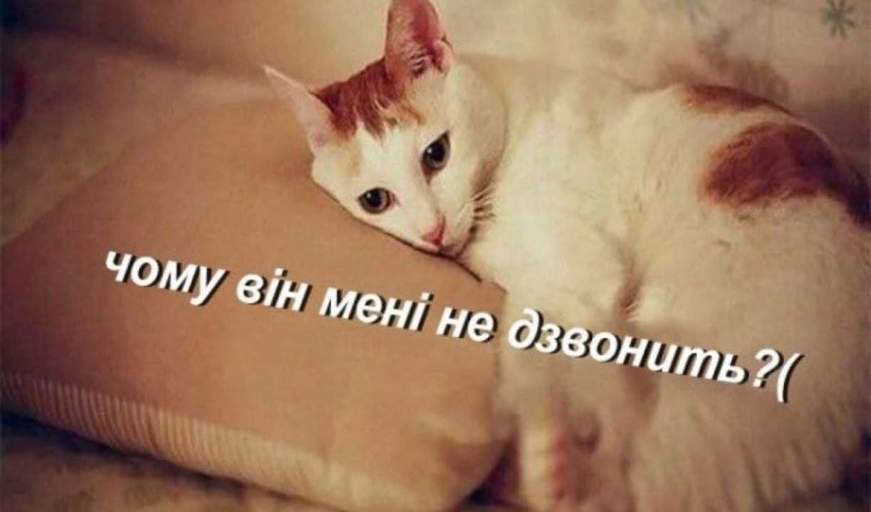 Как все вспомнить: в Сети появились мемы о встрече 2022 года