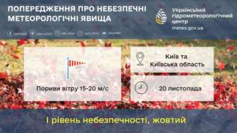 20 ноября порывы ветра 15-20 м/с. І уровень опасности, желтый 20 ноября порывы ветра 15-20 м/с. І уровень опасности, желтый