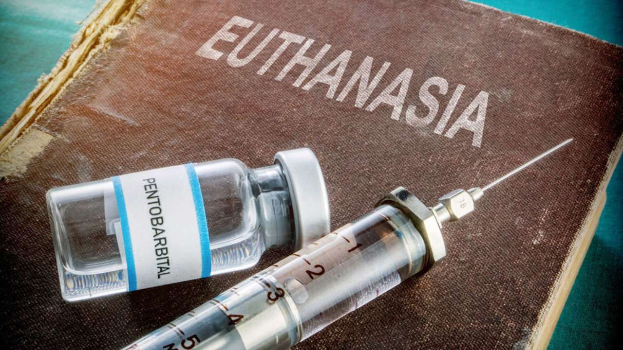 У Португалії легалізували евтаназію У Португалії легалізували евтаназію