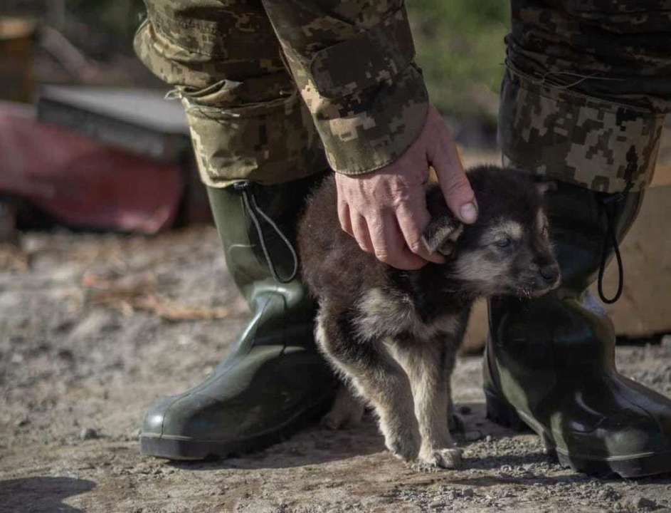 В разведке обещают хорошие новости по обмену пленными / Фото: Генштаб ВСУ