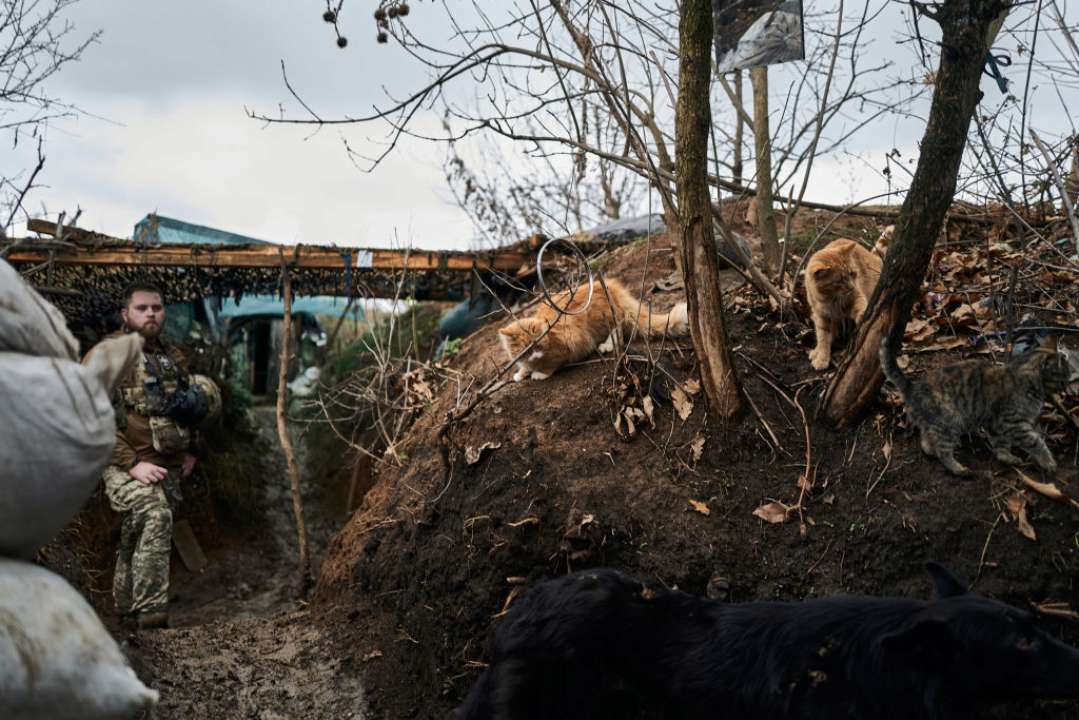 Потери рф в войне по состоянию на 20 ноября 2023 года/Фото: Getty Images
