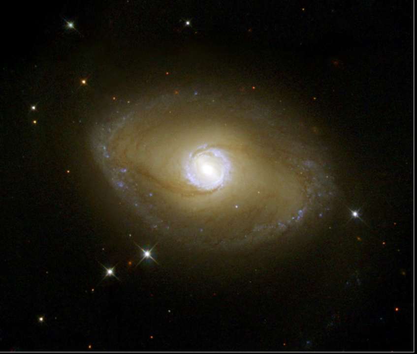 NASA показало галактичну туманність у сузір'ї Золота Риба/Фото: Getty Images NASA показало галактичну туманність у сузір'ї Золота Риба