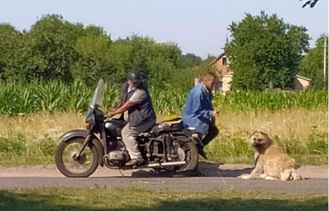 На Полтавщине двое мужчин тащили пса за мотоциклом / Фото: UAnimals На Полтавщине двое мужчин тянули привязанную собаку за мотоциклом