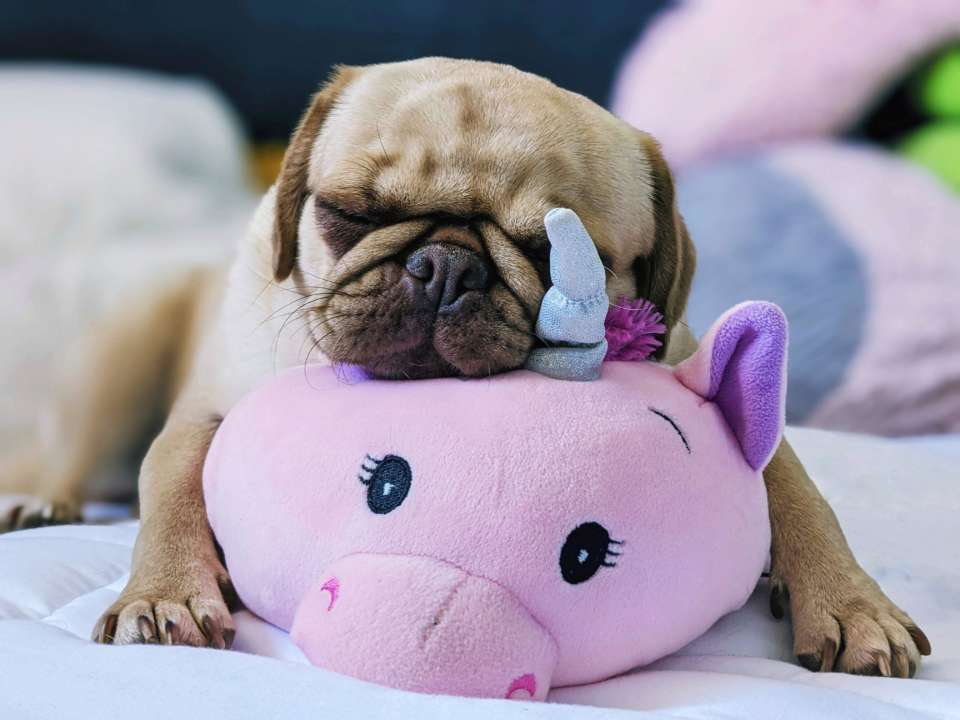 Праздники, народные приметы и запреты 15 ноября/Фото: Unsplash Праздники, народные приметы и запреты 15 ноября