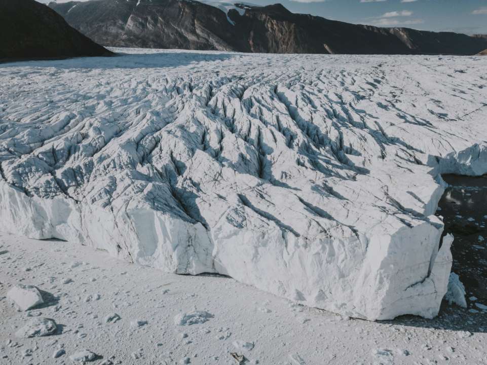Фото: Unsplash/Автор - Annie Spratt Ученые обнаружили растения под километровым слоем льда в Гренландии
