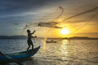 Фото: Pixabay/Автор- Quang Nguyen vinh На італійському острові Ельба моряки впіймали акулу-мутанта зі свинячою головою